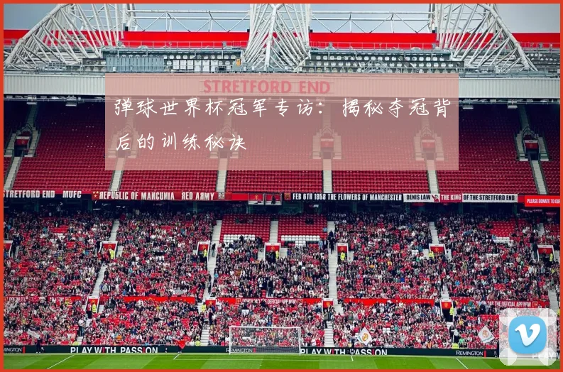 弹球世界杯冠军专访：揭秘夺冠背后的训练秘诀